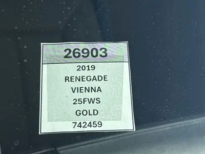 2019 Renegade Vienna photo 11