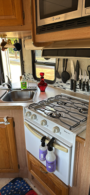 2002 FOREST RIVER SUNSEEKER photo 10