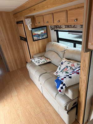 2017 PHOENIX USA PHOENIX CRUISER photo 2