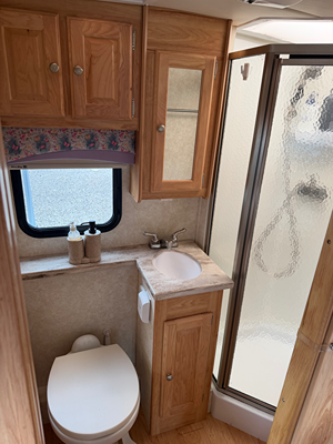 2017 PHOENIX USA PHOENIX CRUISER photo 7