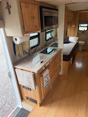 2017 PHOENIX USA PHOENIX CRUISER photo 3