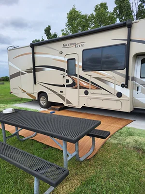 2017 THOR MOTOR COACH FREEDOM ELITE photo 3