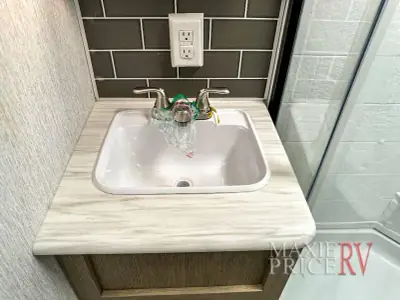 2023 Forest River Wildwood 29VBUDX photo 45