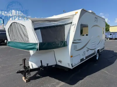 2009 Palomino STAMPEDE S 17