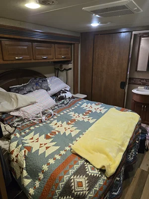 2015 THOR MOTOR COACH CHALLENGER photo 30