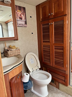 2008 MANDALAY COACH 43A photo 16