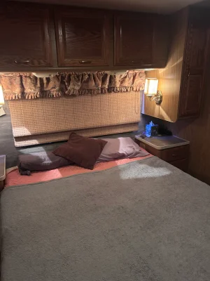 1996 FLEETWOOD BOUNDER photo 9