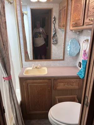 1996 FLEETWOOD BOUNDER photo 18