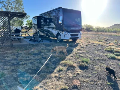 2022 NEWMAR CANYON STAR photo 32