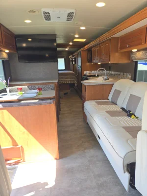 2017 WINNEBAGO VISTA photo 9
