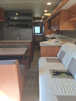 2017 WINNEBAGO VISTA photo 10