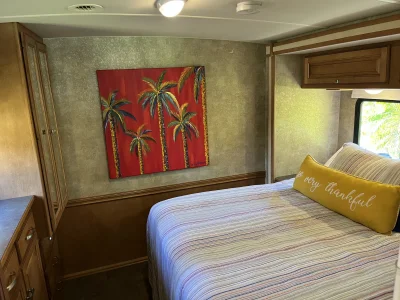 2014 WINNEBAGO VISTA photo 5