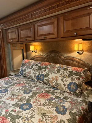 2009 TIFFIN MOTORHOMES PHAETON photo 18