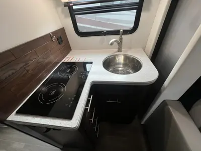 2021 Regency Conversions Ultra Brougham photo 6
