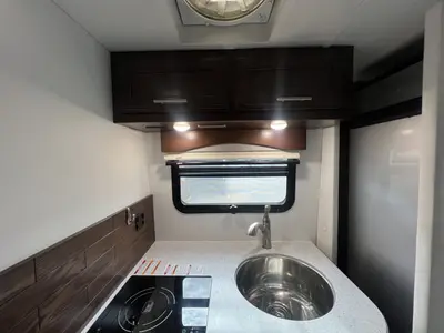 2021 Regency Conversions Ultra Brougham photo 7