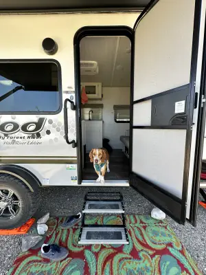 Used 2021 Forest River R-pod 192