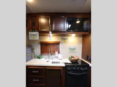 2017 Forest River RV Vengeance photo 3