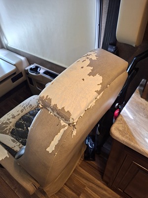 2019 THOR MOTOR COACH PALAZZO photo 25