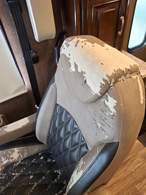 2019 THOR MOTOR COACH PALAZZO photo 26