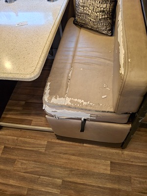 2019 THOR MOTOR COACH PALAZZO photo 33
