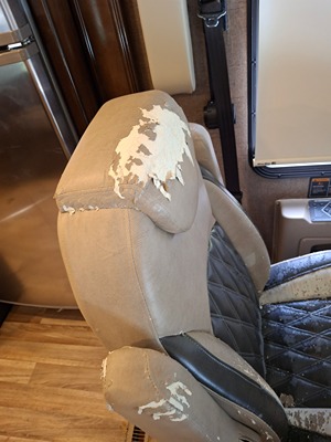 2019 THOR MOTOR COACH PALAZZO photo 29