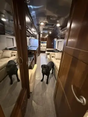 2019 Airstream Classic 33FB photo 23